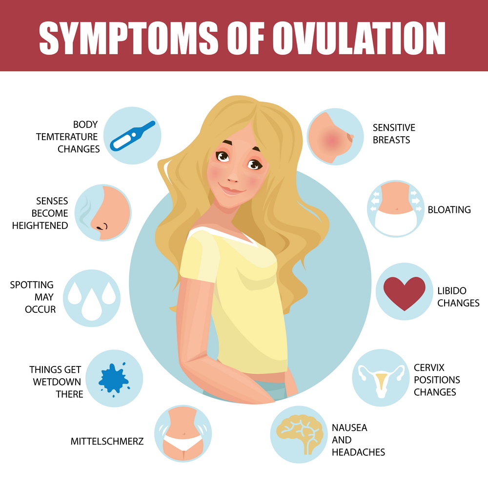 What Is Ovulation Symptoms Tracking And Disorders